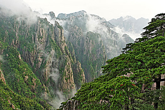 催春药催春药C1B8D97C5-18975